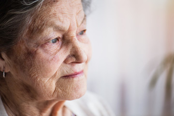 Wall Mural - Portrait of a senior woman at home.