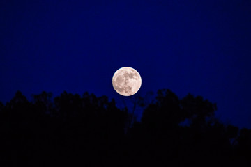 super moon
