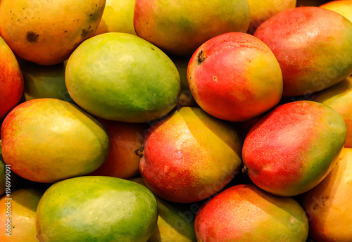 Fotomural lot of red fresh mango fruits