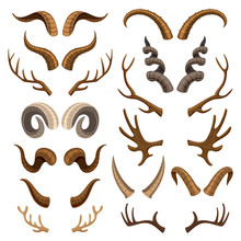 Horn Vector Horned Wild Animal And Deer Or Antelope Antlers Illustration Set Of Horny Hunting Trophy Of Reindeer Isolated On White Background