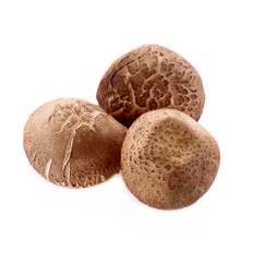 Wall Mural - shiitake mushroom isolated on white background