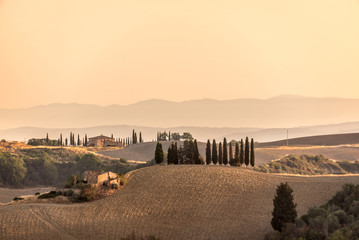Wall Mural - summer landscape at sunrise in tuscany, italy