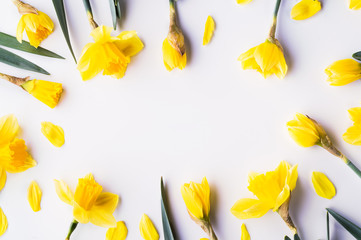 Wall Mural - Yellow flowers on a white background. Copy space. Flat lay.