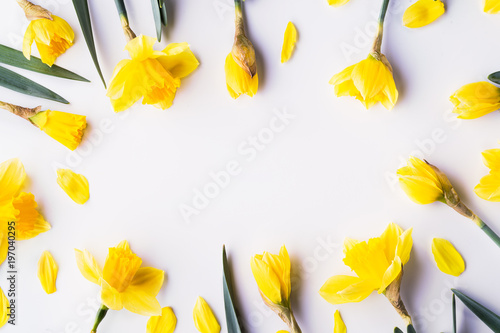 Fotografía Yellow flowers on a white background. Copy space. Flat lay.