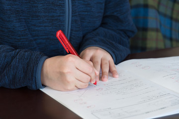 家庭学習をする子供のイメージ