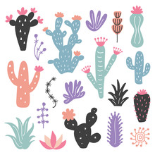Hand Drawn Wild Cactus Flowers, Tropical Succulent Plants Set