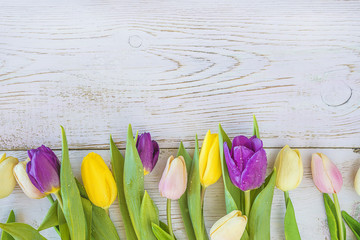 Wall Mural - Floral frame of multicolored tulips on white wooden background