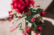 © ADDICTIVE STOCK - Close-up red beautiful flower