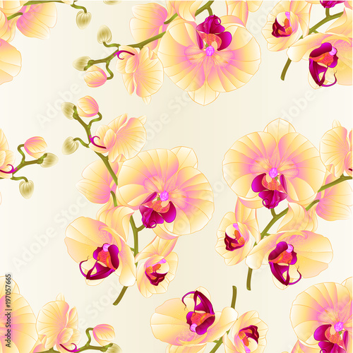 bezszwowych-tekstur-galaz-orchidei-zoltych-kwiatow-phalaenopsis-tropikalna-roslina-na-bialej-tlo-rocznika-botanicznej-ilustraci