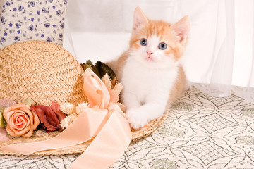 Naklejka na meble Kitty with hat