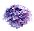 Watercolor illustration of purple hydrangea.