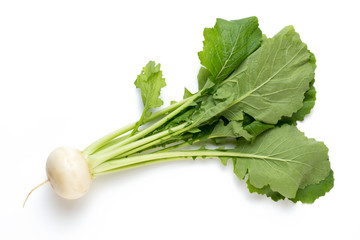 Fresh white round turnip radish on white background.