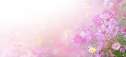Wall Mural - Violet color floral abstract background.