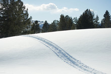 Snow Mobile Trail Over White Snow On Mountains With Green  Pine Trees And Sky Background