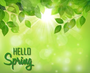 Hello spring background with fresh green leaves