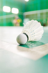 badminton courts with shuttlecocks in the foreground