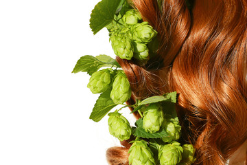 hair products with hops extract. hair care with hop. red hair  with hop cones  on a white background.nature for hair