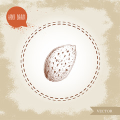 Sticker - Hand drawn sketch almond nut. Nutshell single organic superfood isolated on old looking background. Vector illustration.