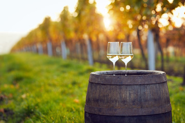 Two glasses of white wine at sunset