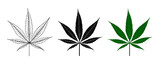 Fototapeta  - Black and Green Cannabis Leaf . Logo Design