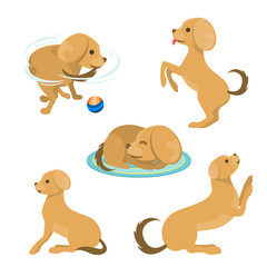 Wall Mural - Cute playing dog character funny purebred puppy comic happy mammal breed animal character vector illustration.