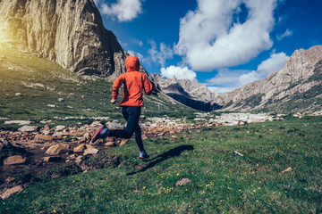 Wall Mural - woman trail runner running on beautiful mountains