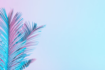 Wall Mural - tropical and palm leaves in vibrant bold gradient holographic colors. concept art. minimal surrealis
