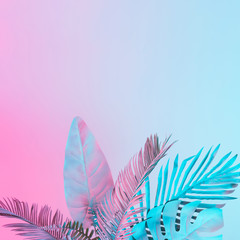 Wall Mural - Tropical and palm leaves in vibrant bold gradient holographic colors. Concept art. Minimal surrealism.