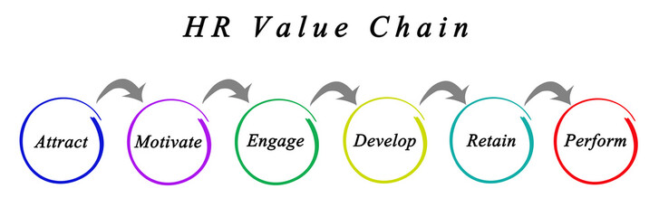 Wall Mural - HR Value Chain