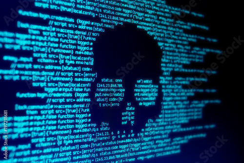 Fotomural Computer code on a screen with a skull representing a computer virus / malware attack