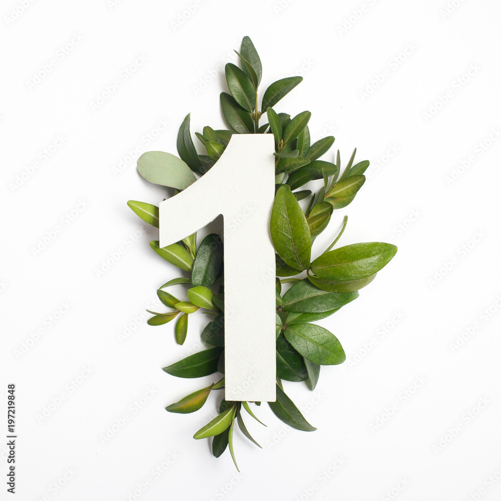 Number one shape with green leaves. Nature concept. Flat lay. Top view - obrazy, fototapety, plakaty 