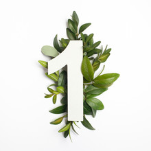 Number One Shape With Green Leaves. Nature Concept. Flat Lay. Top View