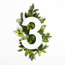 Number Three Shape With Green Leaves. Nature Concept. Flat Lay. Top View