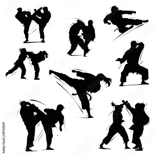 Принти на полотні karate set 1