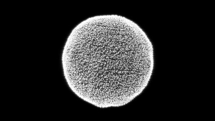 Wall Mural - abstract motion colorful sphere of glowing particles on black background. animation flickering point