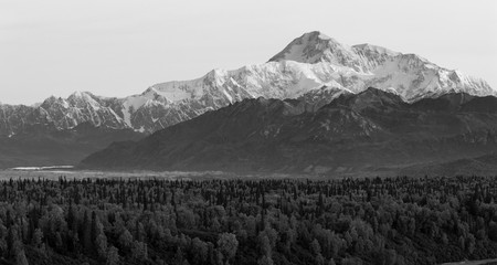 Wall Mural - Denali Mountain Range Mt McKinley Alaska North America