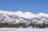 Fototapeta Konie - 雪景色の白馬村と北アルプス