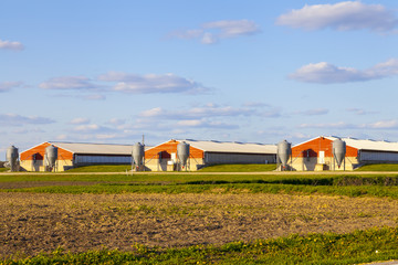 Wall Mural - American Farmland With Blue Sky