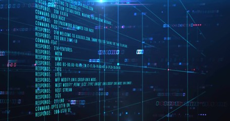 Wall Mural - loopable footage of programming code and ftp log in for software developer and computer script conce