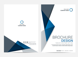 brochure template flyer design vector background