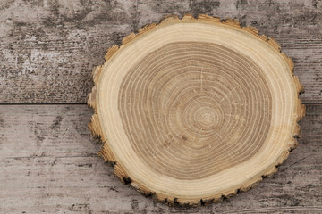 Tree Ring, Log, Wood.