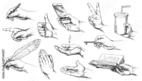 Set Of Hand Drawn Hands Stock Vektorgrafik Adobe Stock