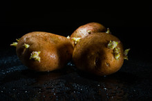 Raw Potato Food . Fresh Potatoes In An Old Sack On Wooden Background. Free Place For Text
