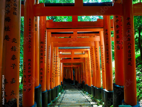 tlo-bramy-w-japonii