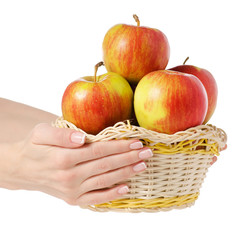 Canvas Print - Basket of apples female hand