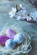View of a straw nest with white and pink freckled Easter eggs and a bunch of fresh spring tree branches blooming with white and pink flowers on old rustic wooden background. Happy Easter or Spring bac