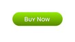 Buy now web interface button green color, customer decision, tourism, credit