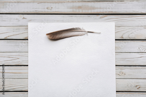 Fotomural Feather on a blank sheet of paper as a symbol of poetry