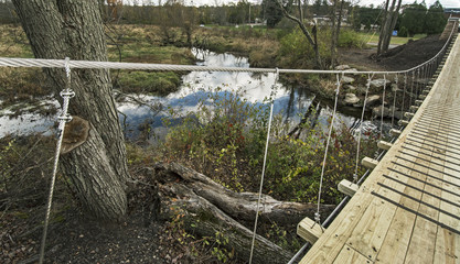 Suspended Bridge Landscape