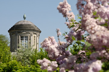 Poster - Seneffe chateau fleur printemps